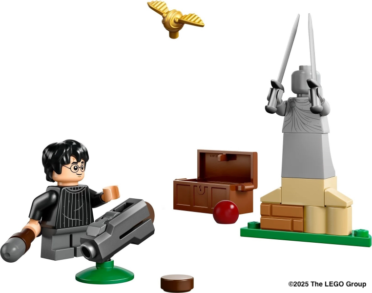 LEGO® Quidditch™ Training 30706